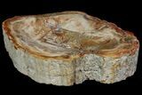 Colorful Polished Petrified Wood Dish - Madagascar #155296-2